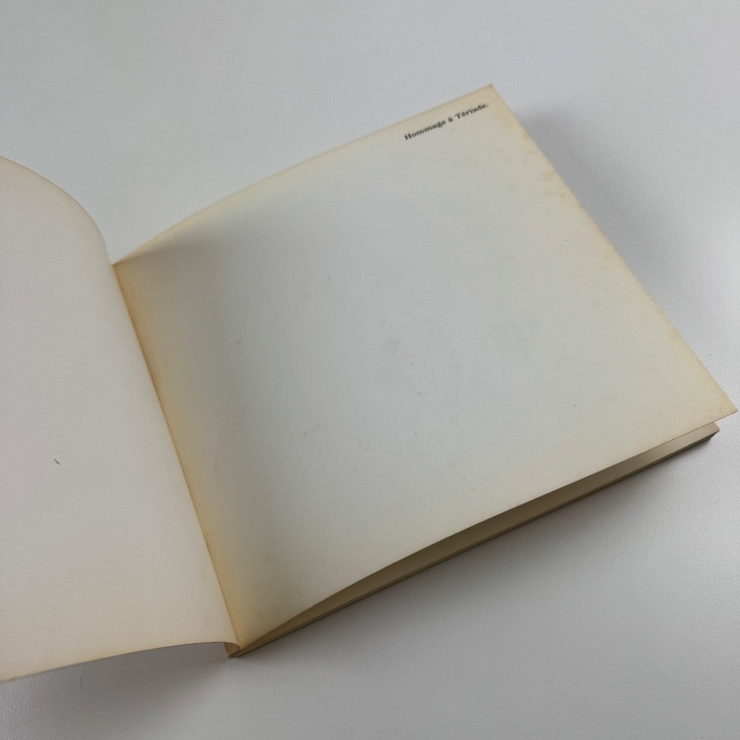 Hommage à Tériade | Diploma Galleries, Royal College of Art, 1975