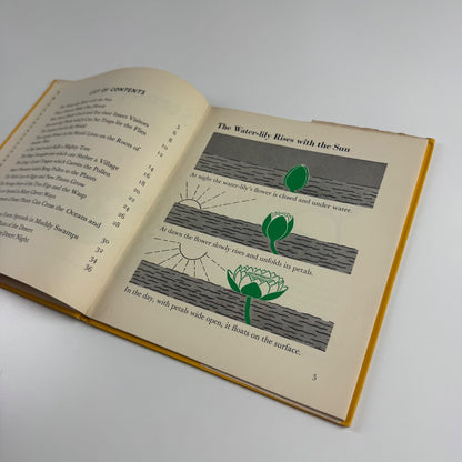The Wonder World of Strange Plants by Marie Neurath | Max Parrish, 1956 Isotype Institute