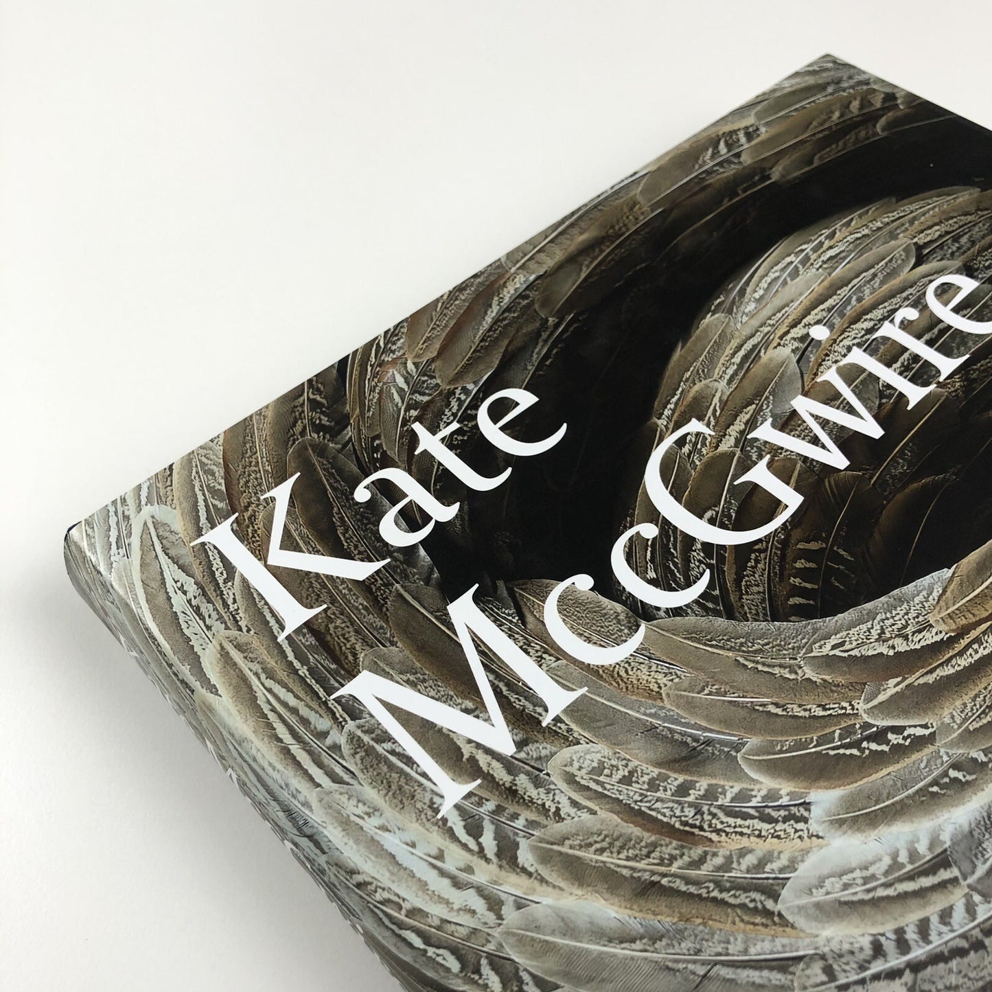 Kate MccGwire | Edited by Mark Sanders | Anomie Publishing, 2021