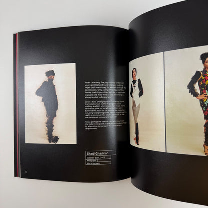 The Elephant in the Dark | Delvi Art Foundation, New Delhi, 2012 curated by Amirali Ghasemi