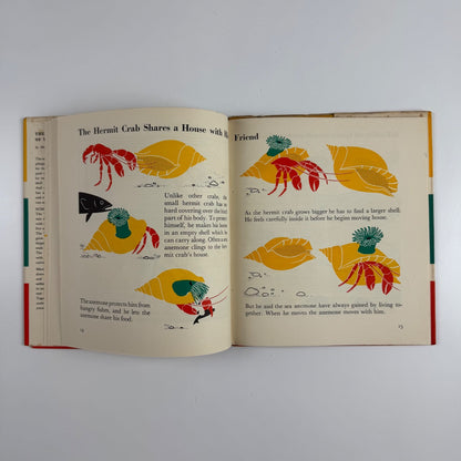 The Wonder World of the Seashore Marie Neurath, Max Parrish second edition Isotype Institute
