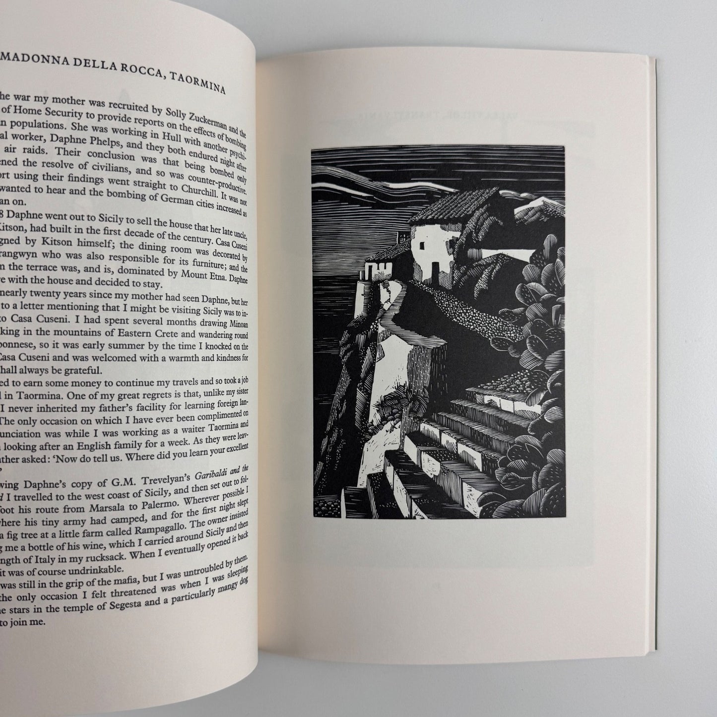 Light into Lemonwood. Wood engravings of mountains and monuments by Merlin Waterson, 2015