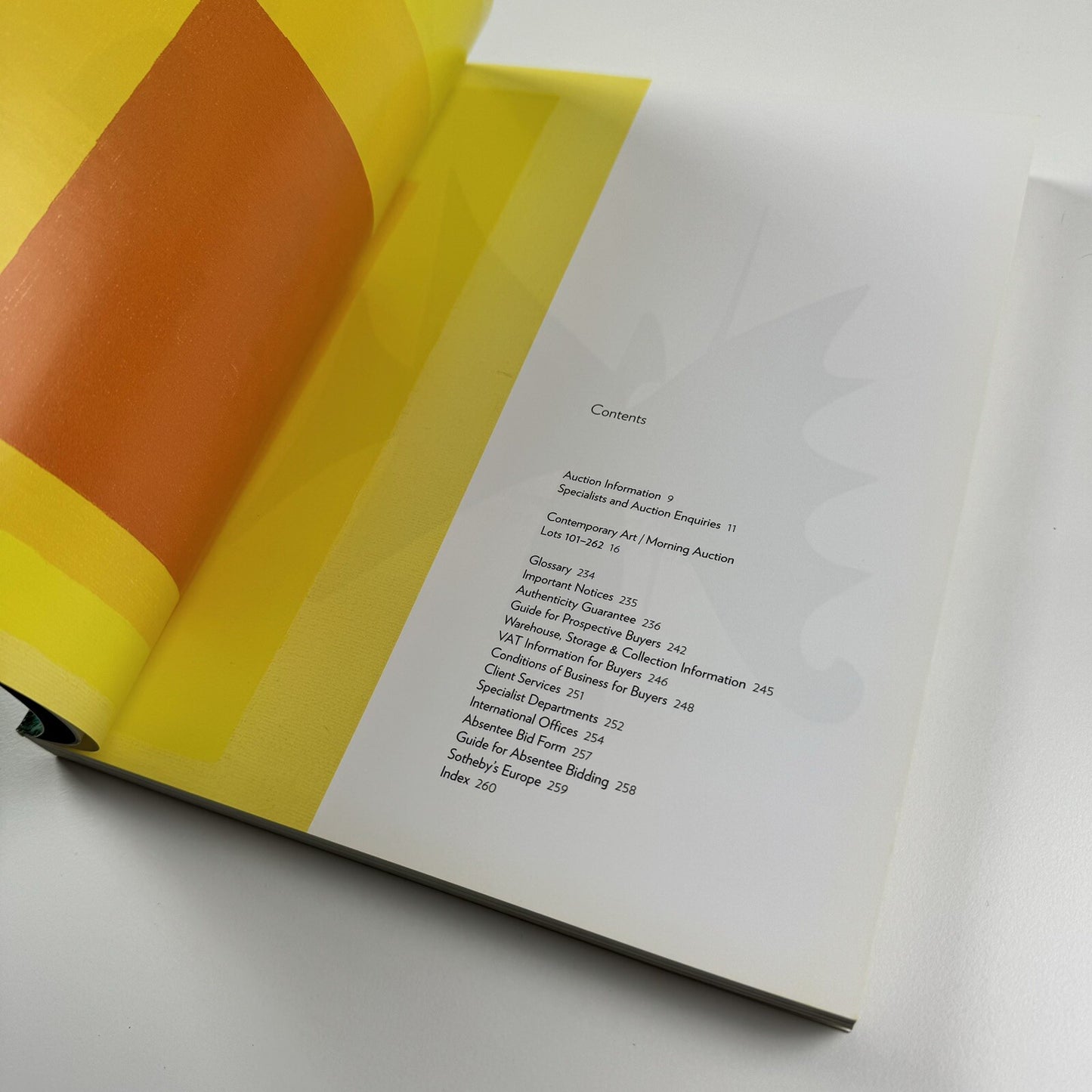 Contemporary Art | Sotheby's London catalogue, 2 July 2008 morning auction | Ref LO8023