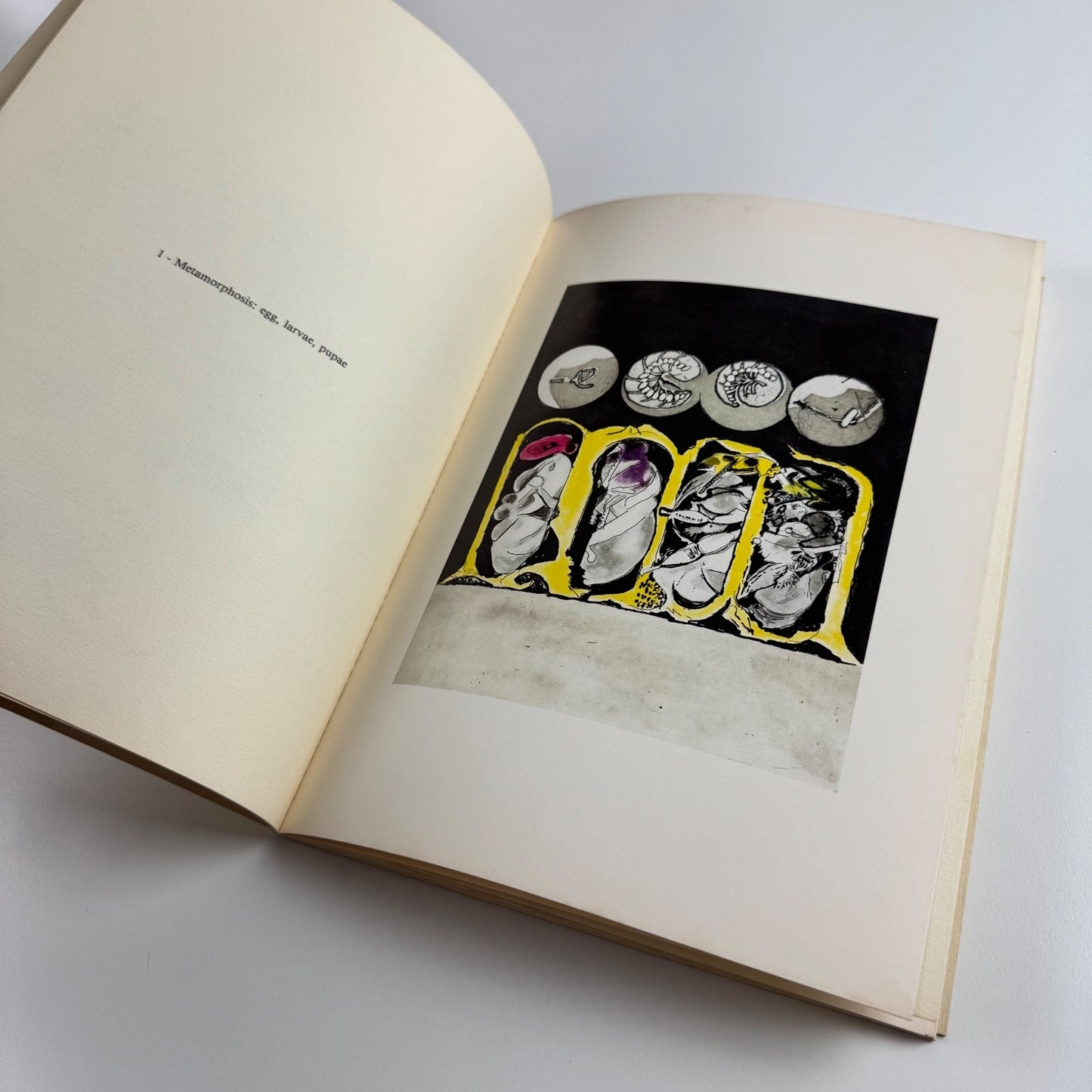 Sutherland "Bees" | Marlborough Fine Art and 2RC - Editrice, Rome June-July 1977