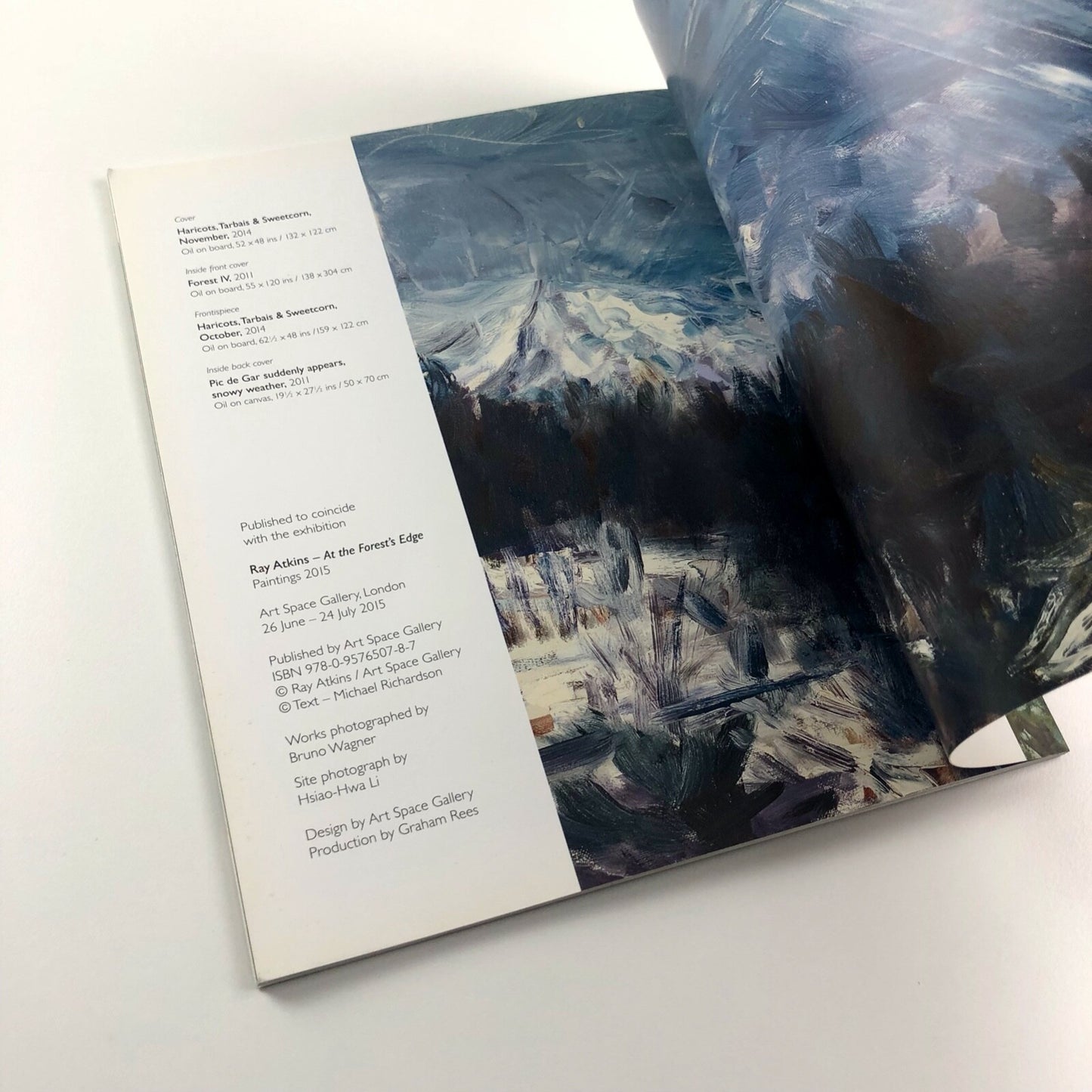 Ray Atkins. At the Forest’s Edge. Paintings 2015 | Art Space Gallery catalogue