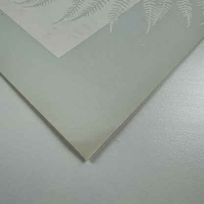 Type specimen sheet for Fluidum | Type design by Alessandro Butto | Societá Nebiolo
