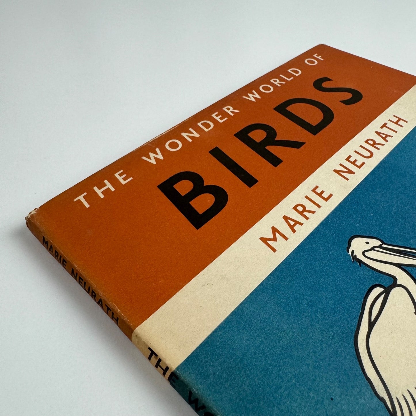 The Wonder World of Birds by Marie Neurath | Max Parrish, 1953 Isotype Institute
