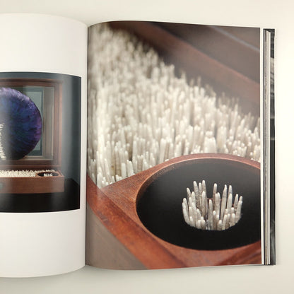 Kate MccGwire | Edited by Mark Sanders | Anomie Publishing, 2021